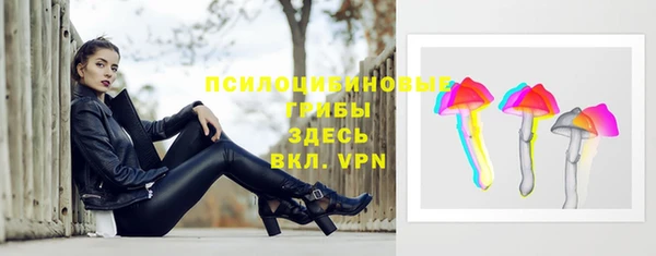 spice Абаза