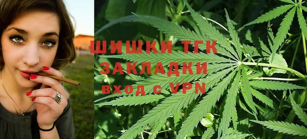 spice Абаза